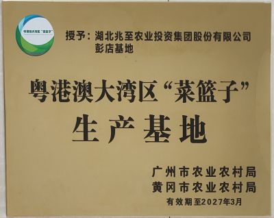 粵港澳大灣區(qū)“菜籃子”生產(chǎn)基地