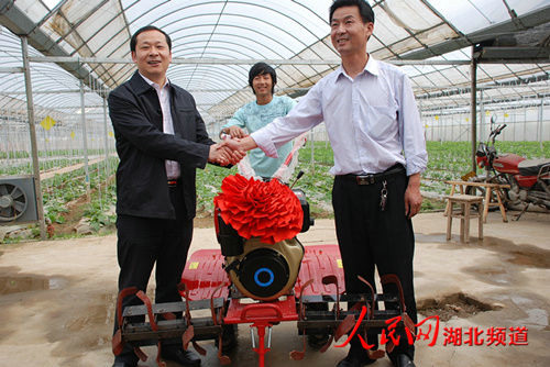 湖北省鄉(xiāng)村振興局黨組成員、副局長(zhǎng)楊遙來(lái)我公司基地調(diào)研指導(dǎo)工作