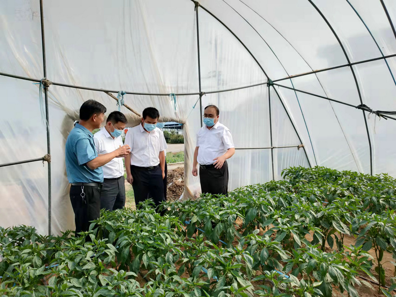 麻城市政府市長(zhǎng)裴永波來(lái)公司基地調(diào)研指導(dǎo)工作