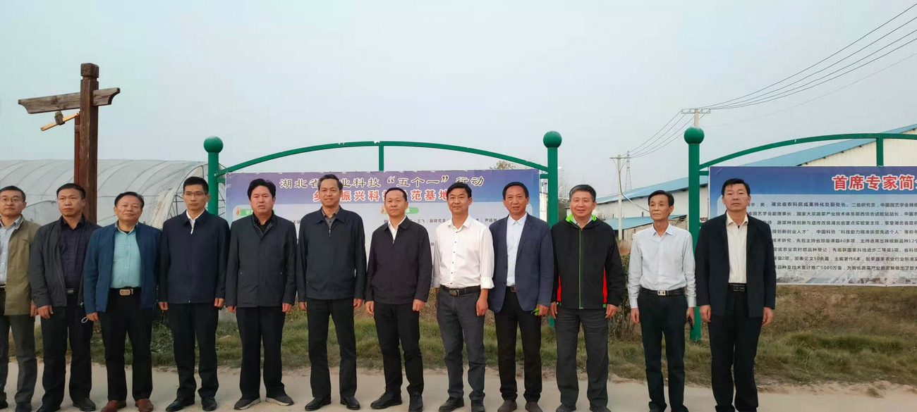 湖北省農(nóng)業(yè)農(nóng)村廳黨組成員、省農(nóng)業(yè)科學(xué)院黨委書(shū)記劉曉洪來(lái)我公司基地調(diào)研指導(dǎo)工作