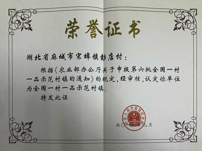 全國一村一品示范村鎮(zhèn)